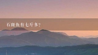 石斑鱼有7斤多? 石斑鱼有7斤多?