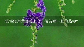浸淫疮用黄连粉主之,是清哪1脏的热毒? 浸淫疮用黄连粉主之,是清哪1脏的热毒?