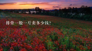 排骨1般1斤卖多少钱? 排骨1般1斤卖多少钱?