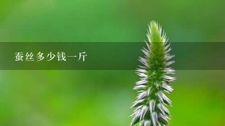 蚕丝多少钱1斤 蚕丝多少钱1斤