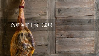 1条草鱼百十块正常吗
