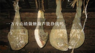1万斤山楂做糖葫芦能挣钱吗 1万斤山楂做糖葫芦能挣钱吗
