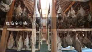 鹿筋多少钱1斤 鹿筋多少钱1斤