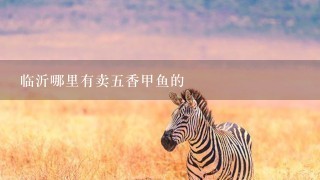临沂哪里有卖5香甲鱼的 临沂哪里有卖5香甲鱼的