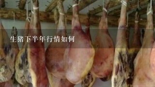 生猪下半年行情如何 生猪下半年行情如何