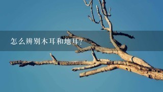 怎么辨别木耳和地耳? 怎么辨别木耳和地耳?