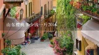 山东樱桃多少钱1斤2016 山东樱桃多少钱1斤2016