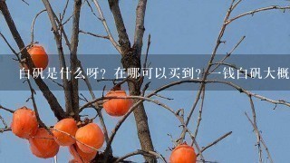 白矾是什么呀?在哪可以买到?1钱白矾大概是多少? 白矾是什么呀?在哪可以买到?1钱白矾大概是多少?
