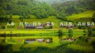 人参、红参、沙参、党参、西洋参、高丽参各有什么不 人参、红参、沙参、党参、西洋参、高丽参各有什么不