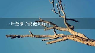 1斤金樱子能泡几斤酒 1斤金樱子能泡几斤酒
