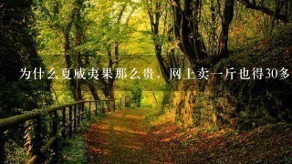 为什么夏威夷果那么贵,网上卖1斤也得30多,现实中多钱1斤? 为什么夏威夷果那么贵,网上卖1斤也得30多,现实中多钱1斤?