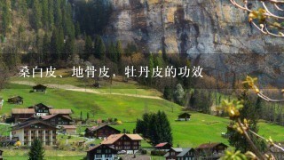 桑白皮、地骨皮,牡丹皮的功效 桑白皮、地骨皮,牡丹皮的功效