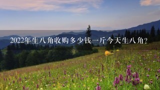 2022年生8角收购多少钱1斤今天生8角? 2022年生8角收购多少钱1斤今天生8角?