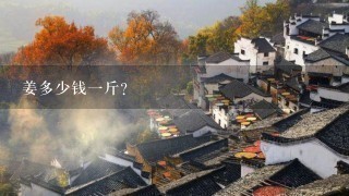 姜多少钱1斤? 姜多少钱1斤?