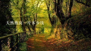 天然燕窝1斤多少钱 天然燕窝1斤多少钱