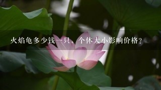 火焰龟多少钱1只,个体大小影响价格? 火焰龟多少钱1只,个体大小影响价格?
