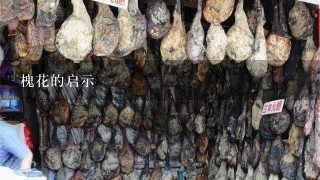 槐花的启示 槐花的启示