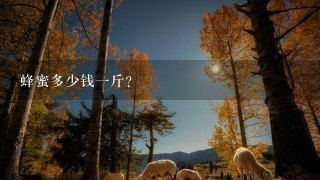 蜂蜜多少钱1斤? 蜂蜜多少钱1斤?