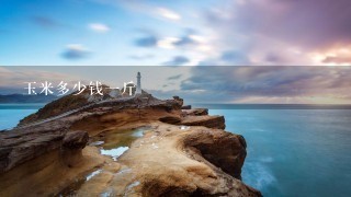 玉米多少钱1斤 玉米多少钱1斤