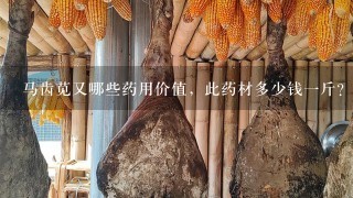 马齿苋又哪些药用价值,此药材多少钱1斤? 马齿苋又哪些药用价值,此药材多少钱1斤?