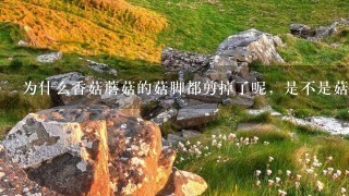 为什么香菇蘑菇的菇脚都剪掉了呢,是不是菇脚没有营 为什么香菇蘑菇的菇脚都剪掉了呢,是不是菇脚没有营