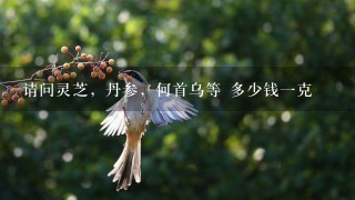 请问灵芝,丹参,何首乌等 多少钱1克 请问灵芝,丹参,何首乌等 多少钱1克
