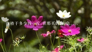 山楂干多少钱1斤.在那买的到.急.... 山楂干多少钱1斤.在那买的到.急....