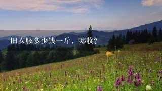 旧衣服多少钱1斤,哪收? 旧衣服多少钱1斤,哪收?