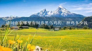 请问山东哪里有饲养黑乌鸡的,种鸡多少钱1只? 请问山东哪里有饲养黑乌鸡的,种鸡多少钱1只?