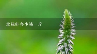 北极虾多少钱1斤 北极虾多少钱1斤