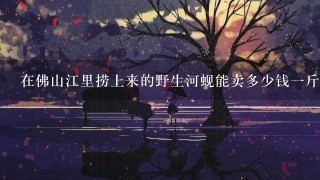 在佛山江里捞上来的野生河蚬能卖多少钱1斤？