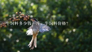 牛饲料多少钱1斤,牛饲料价格? 牛饲料多少钱1斤,牛饲料价格?