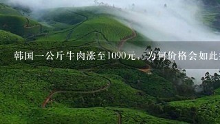 韩国1公斤牛肉涨至1090元,为何价格会如此疯涨? 韩国1公斤牛肉涨至1090元,为何价格会如此疯涨?