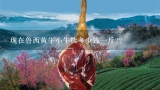 现在鲁西黄牛小牛犊多少钱1斤?? 现在鲁西黄牛小牛犊多少钱1斤??