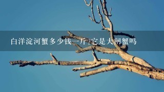 白洋淀河蟹多少钱1斤?它是大闸蟹吗 白洋淀河蟹多少钱1斤?它是大闸蟹吗