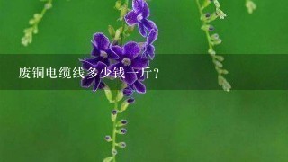废铜电缆线多少钱1斤? 废铜电缆线多少钱1斤?