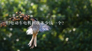 旧电动车电机回收多少钱1个? 旧电动车电机回收多少钱1个?