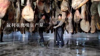 叙利亚鹰嘴豆产量 叙利亚鹰嘴豆产量