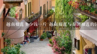 越南榴莲多少钱1斤 越南榴莲与泰国榴莲的区别 越南榴莲多少钱1斤 越南榴莲与泰国榴莲的区别