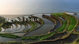 钛合金废品多少钱1斤 钛合金废品多少钱1斤