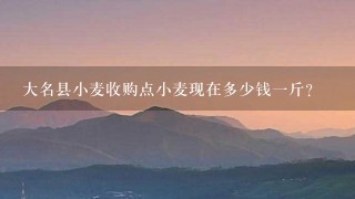 大名县小麦收购点小麦现在多少钱1斤? 大名县小麦收购点小麦现在多少钱1斤?