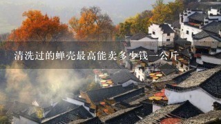 清洗过的蝉壳最高能卖多少钱1公斤 清洗过的蝉壳最高能卖多少钱1公斤