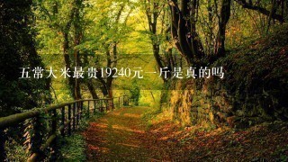 5常大米最贵19240元1斤是真的吗 5常大米最贵19240元1斤是真的吗