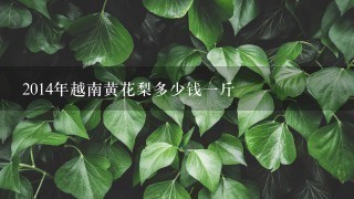 2014年越南黄花梨多少钱1斤 2014年越南黄花梨多少钱1斤