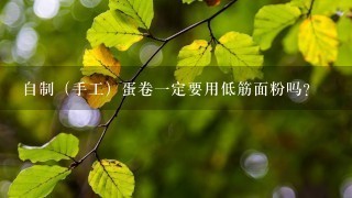 自制(手工)蛋卷1定要用低筋面粉吗? 自制(手工)蛋卷1定要用低筋面粉吗?
