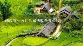 邮政寄1公斤的东西收费多少钱 邮政寄1公斤的东西收费多少钱