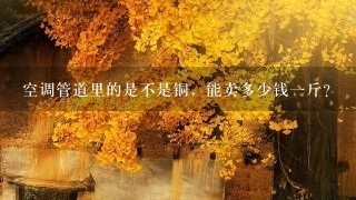 空调管道里的是不是铜,能卖多少钱1斤? 空调管道里的是不是铜,能卖多少钱1斤?