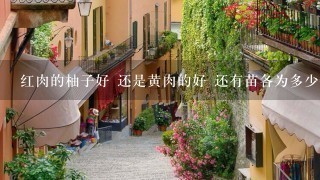 红肉的柚子好 还是黄肉的好 还有苗各为多少钱 红肉的柚子好 还是黄肉的好 还有苗各为多少钱