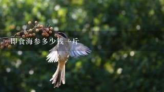 即食海参多少钱1斤 即食海参多少钱1斤