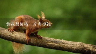 黄花梨价格1斤多少钱 黄花梨价格1斤多少钱